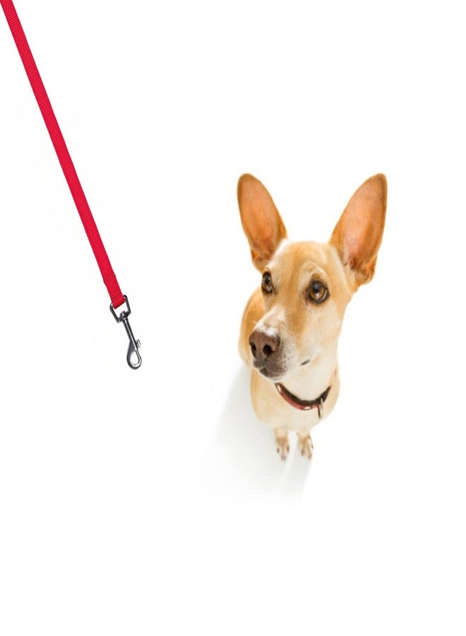 تريكسي: - مقود كلاسيكي | مقود كلاب نايلون قابل للتعديل مع خطافات من الفولاذ المقاوم للصدأ | حلقة مبطنة توفر قبضة مريحة - (25 مم/4-6 أقدام، كبير-كبير جدًا) أحمر - Image 4